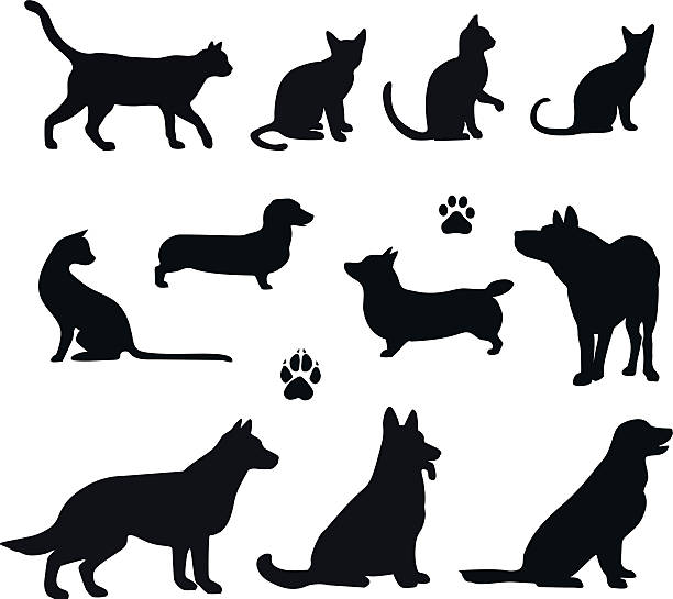 Vector silhouette of pet Vector silhouette of pet cats and dogs dog clipart stock illustrations