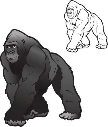 Vector Silverback Gorilla Illustration