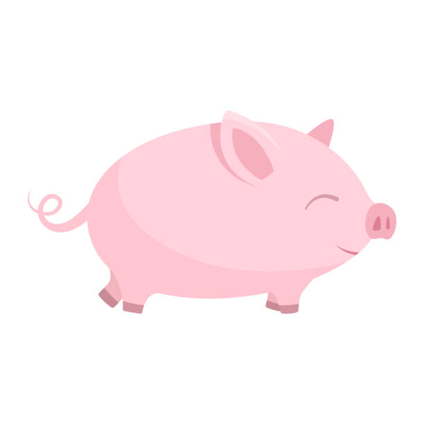 Vector simple isolated illustration on white background. Cartoon picture of a cute baby pink pig or piglet. Design element Vector simple isolated illustration on white background. Cartoon picture of a cute baby pink pig or piglet. pig clipart stock illustrations