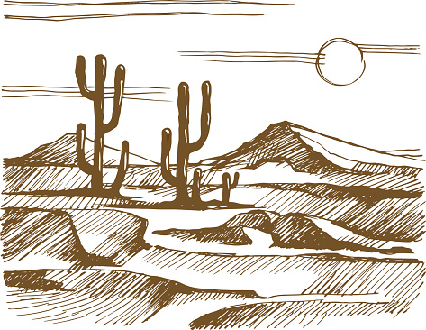 Vector sketch America. Landscape with cactus on the background of mountains.