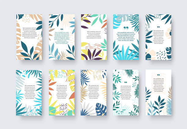 Vector social media banner for stories, with place for text, information, creative presentation with jungle, palm, exotic, tropical leaves. vector art illustration