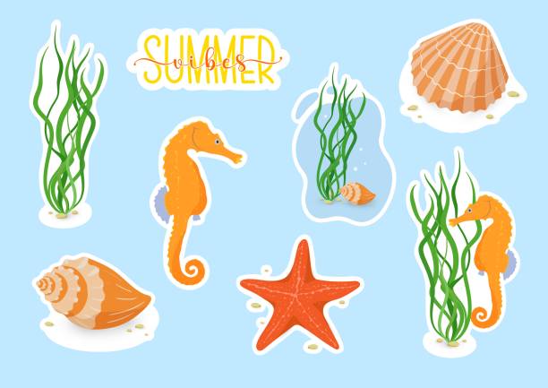 Vector stickers set with ocean or sea animals with white border for cutting. Cute sea horse, starfish, grass, seashells, Summer vibes quote printable stickers for decoration of planners, scrapbooking. Vector stickers set with ocean or sea animals with wtite border for cutting. printable of fish drawing stock illustrations