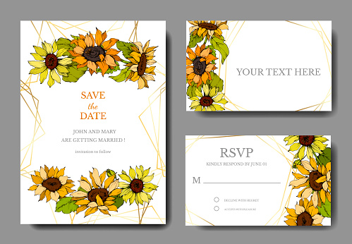 Vector Sunflower botanical flowers. Yellow and green engraved ink art. Wedding background card floral decorative border.