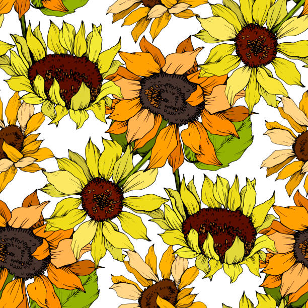 벡터 해바라기 꽃 식물 꽃입니다. 노란색과 녹색 잉크 아트를 새겨. 원활한 배경 패턴. - 소형 장식품 일러스트 stock illustrations
