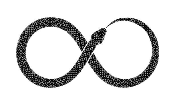 Vector tattoo design of Snake bites it's tail in the form of a sign of infinity. The Snake bites it's tail in the form of a sign of infinity. Ouroboros symbol tattoo design. Vector illustration isolated on a white background. snakes stock illustrations