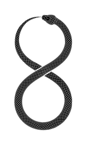 Vector tattoo design of Snake eates it's own tail in the form of a sign of infinity. The Snake eates it's own tail in the form of a sign of infinity. Ouroboros symbol tattoo design. Vector illustration isolated on a white background. snakes stock illustrations