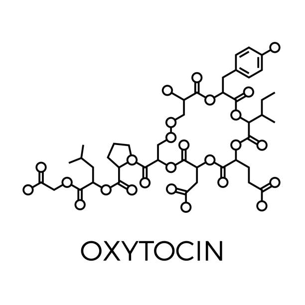 Vector thin line icon of oxytocin molecular structure. Chemical formula vector art illustration