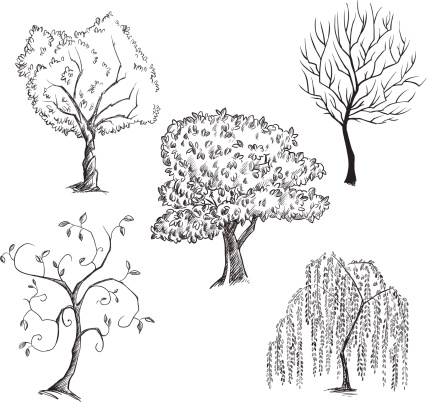 Vector trees collection