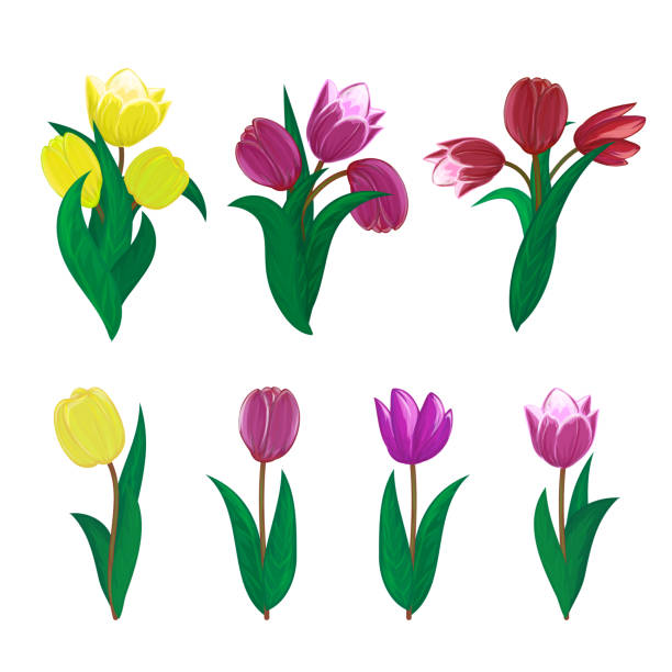 Diffrent Flowers Illustrations, Royalty-Free Vector Graphics & Clip Art ...