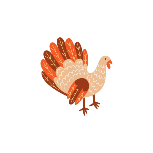 Vector turkey bird flat illustration isolated Vector turkey bird flat illustration isolated on a white background. Cartoon symbol of thanksgiving . Sign of autumn, harvest and farming. Healthy , fresh, dieting and natural eating. turkey stock illustrations