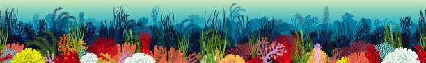 wektor podwodny rafa koralowa poziomy wzór bez szwu. tekstura dolnej części podsezyją. - great barrier reef stock illustrations