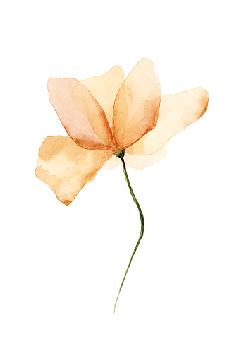 Download Vector Watercolor Flower Stock Illustration - Download ...