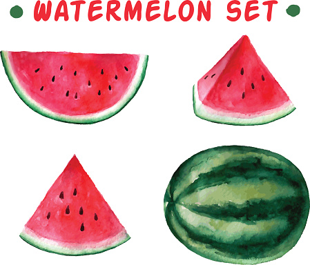 Vector watercolor hand drawn watermelon set.