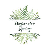 Vector watercolor illustration. Spring is coming. Botanical frame with green leaves, branches and herbs. Floral Design elements. Perfect for invitations, greeting cards, prints, posters, packing