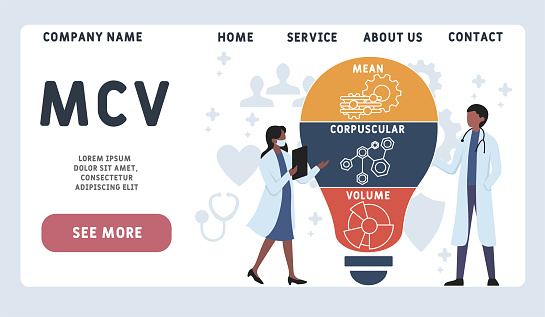 Meaning mcv Your MCV