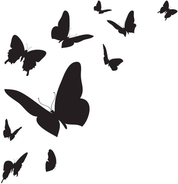 Vector white background. Vector white background with different colored butterflies. nature silhouettes stock illustrations