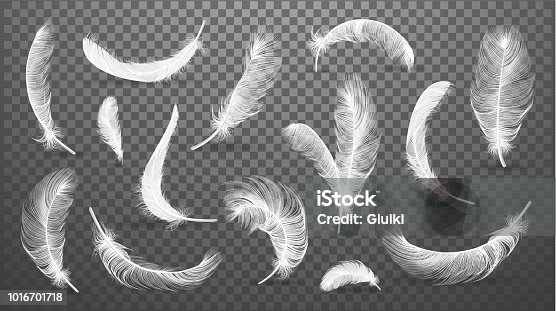 istock Vector white feathers collection, set of different falling fluffy twirled feathers, isolated on transparent background. Realistic style, vector 3d illustration. 1016701718