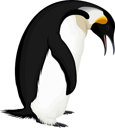 vector wild Emperor penguin illustration