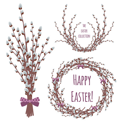 Vector willow branch with pussy for Easter design