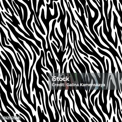 istock Vector zebra skin seamless pattern. Animal fur stripes texture ornament. Curved wavy lines  Stylish fashion illustration for design of fabric and textile. 1262152568
