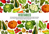 Vegetable and mushroom banner of farm product. Tomato, carrot and pepper, cabbage, broccoli, onion, cucumber, corn, olives, pumpkin, avocado, leek and artichoke border for vegetarian menu design