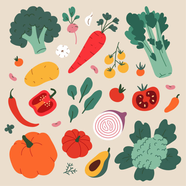 야채 음식 일러스트, 브로콜리, 콜리플라워, 셀러리의 현대 그림, 건강한 식습관 요리 재료, 벡터 클립아트 - 채소 stock illustrations