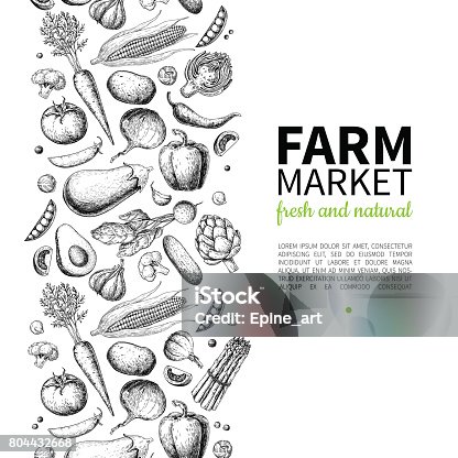 istock Vegetable hand drawn vintage vector frame illustration. Farm Market poster. Vegetarian set of organic products. 804432668