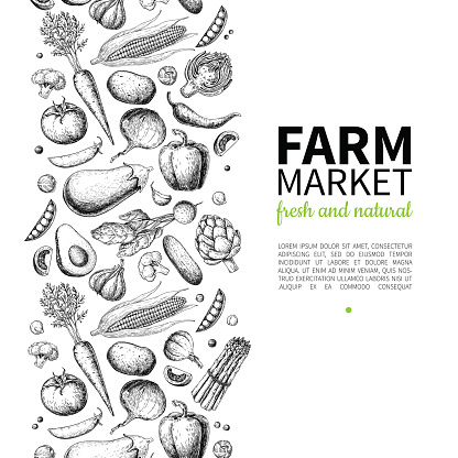 Vegetable hand drawn vintage vector illustration. Farm Market poster. Vegetarian set of organic products. Detailed food drawing. Great for menu, banner, label, , flyer