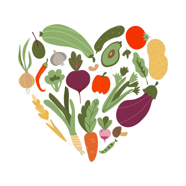 vegetable in heart shape. Set of vegetable icons forming heart shape. Vegetarian food icons. Healthy cartoon flat food illustration. hand drawn Vector illustration  vegetable stock illustrations