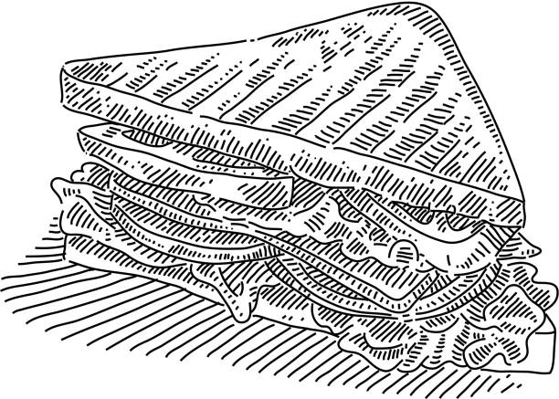 Vegetable Sandwich Drawing Line drawing of Vegetable Sandwich. Elements are grouped.contains eps10 and high resolution jpeg. sandwich drawings stock illustrations