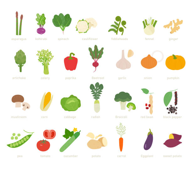 Vegetable set. vector art illustration