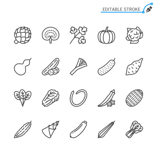1 vegetable_2 Vegetable line icons. Editable stroke. Pixel perfect. okra plants pics stock illustrations