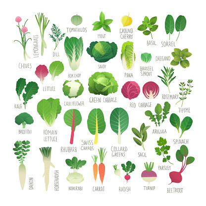 Vegetables and herbs