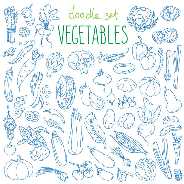 bildbanksillustrationer, clip art samt tecknat material och ikoner med grönsaker doodle set. grön ekologisk dagligvarubruksprodukter för hälsosam kost. - pumpor skördefest