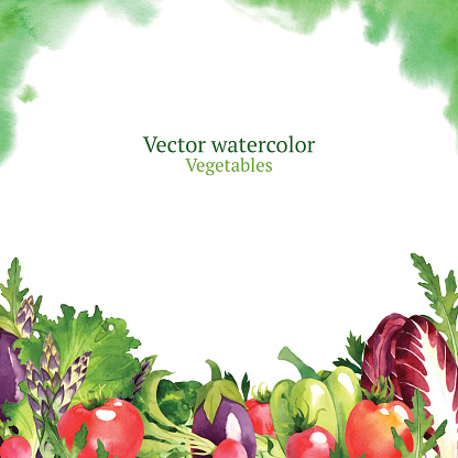 Watercolor vector vegetables frame with radicchio, arugula, asparagus, pepper, eggplant, tomato, lettuce, broccoli, radish, basil and parsley