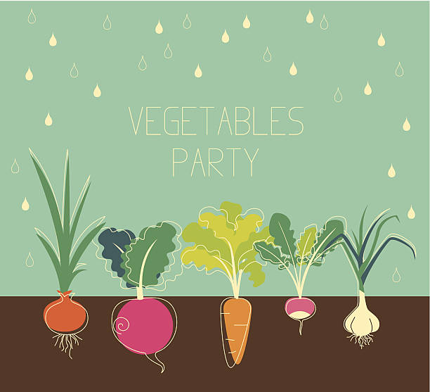 illustrations, cliparts, dessins animés et icônes de légumes du jardin - pluie jardin
