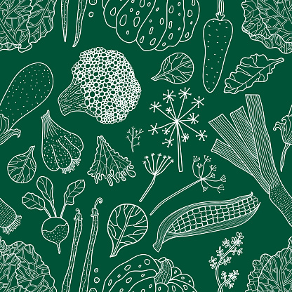 Vegetables. Green illustration.