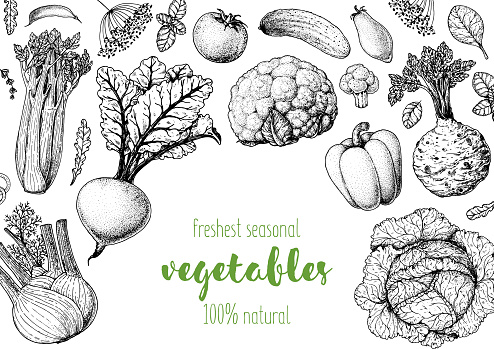 Vegetables hand drawn illustration. Top view frame. Vintage hand drawn sketch. Organic food poster. Good nutrition, healthy food. Vector illustration. Fennel, beet, celery, tomato, cucumber, cabbage