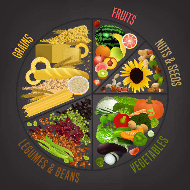 ilustrações de stock, clip art, desenhos animados e ícones de vegetarian food plate - food chart healthy
