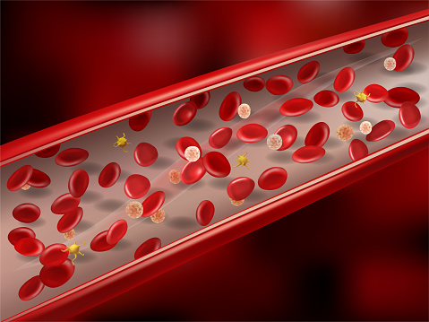 Vein with erythrocytes, leukocytes and platelets. 3d vector illustration