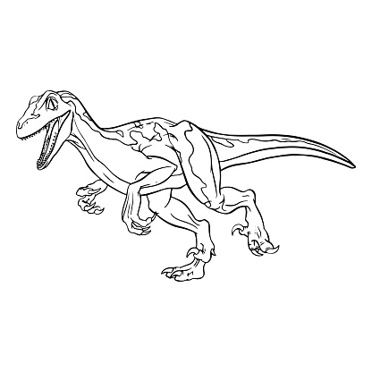 Velociraptor dinosaur cartoon linear sketch for coloring book isolated on white background. Vector clipart