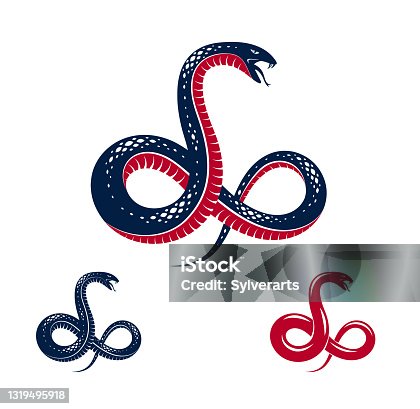 istock Venomous snake vintage tattoo, vector logo or emblem of aggressive predator reptile, deadly poisoned serpent symbol, vintage style illustration. 1319495918
