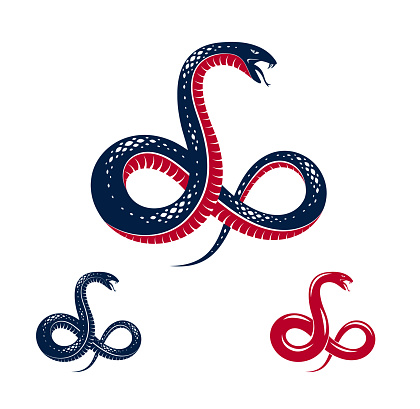 Venomous snake vintage tattoo, vector logo or emblem of aggressive predator reptile, deadly poisoned serpent symbol, vintage style illustration.