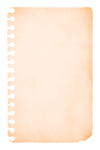 A vertical vector illustration of a blank off white paper sheet or cream colored  ripped page from a spiral notepad