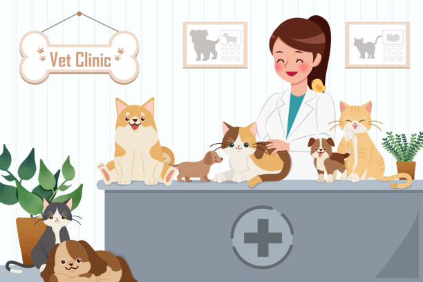 illustrazioni stock, clip art, cartoni animati e icone di tendenza di concetto clinica veterinaria - allevatore