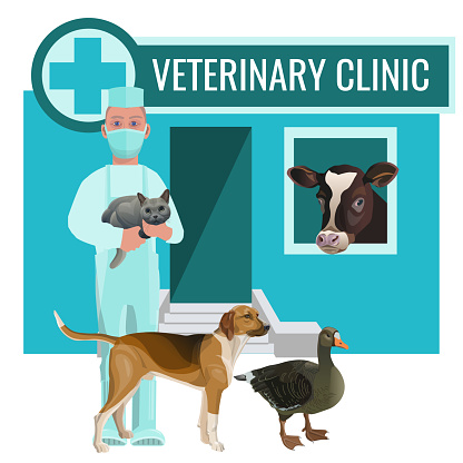 vet clinic with doctor and farm animals vector