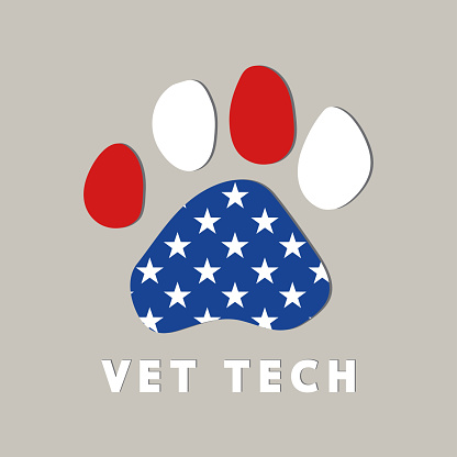 vets in tech logo