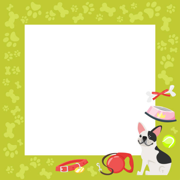 video and photo frame background Vector cartoon style video and photo frame background for editing. Cute dog - french bulldog on the border with doggy paws footprints and tasty bones. dog borders stock illustrations