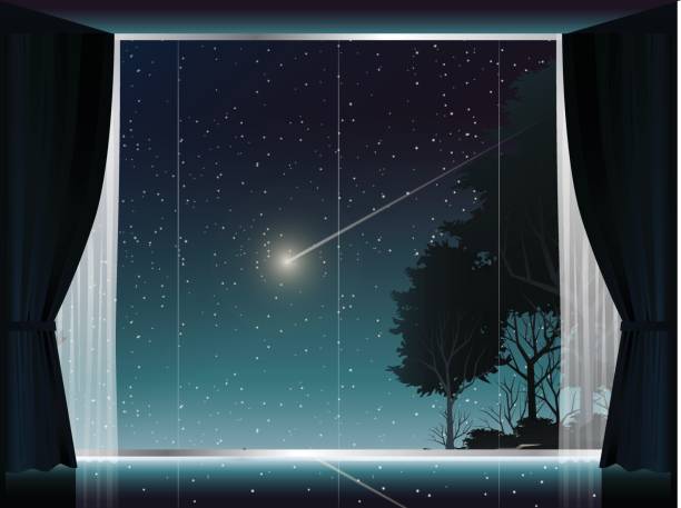 ilustrações de stock, clip art, desenhos animados e ícones de view of deep forest and comet at night in room with large window - living room night nobody