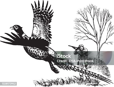 istock View of hunter shooting to flying pheasant 1328173952